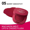 Bourjois Macaron Melt Lip & Cheeks Flush بورجوا ماكارون ميلت – أحمر خدود للشفاه والخدود
