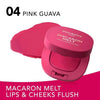 Bourjois Macaron Melt Lip & Cheeks Flush بورجوا ماكارون ميلت – أحمر خدود للشفاه والخدود