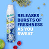 Batiste Dry Shampoo 24H Active 200ml باتيست شامبو جاف أكتيف 24 ساعة