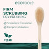 Eco Tools Bristle Bath Brush فرشاة استحمام بشعيرات من إيكوتولز
