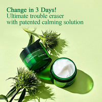 Pyunkang Ultimate Calming Solution Cream 30ml