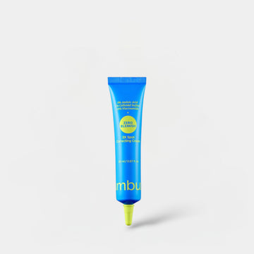 Numbuzin Zero Blemish 3X Spot Correcting Cream 20ml نومبوزين زيرو بليميش 3X كريم مصحح للبقع