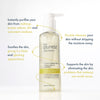 The Purest Solutions Purifying Oil Cleanser with Postbiotics 150ml