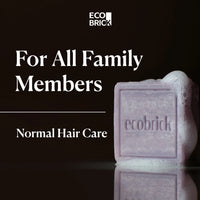 EcoBrick Mild Acidic Shampoo Bar - Normal Hair Care