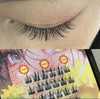 Elyzza Sunflower False Eyelashes. إليزا عباد الشمس الرموش الصناعية