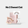 Mlen Diary Magnetics Eyelashes - No 2 Sweet Cat + Toolkit رموش مغناطيسية من مذكرات ملين - رقم 2 قطة حلوة + مجموعة أدوات