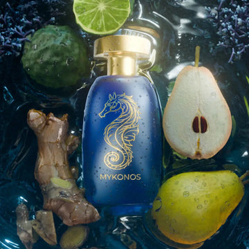 Mykonos Nautilus 100ml ميكونوس نوتيلوس