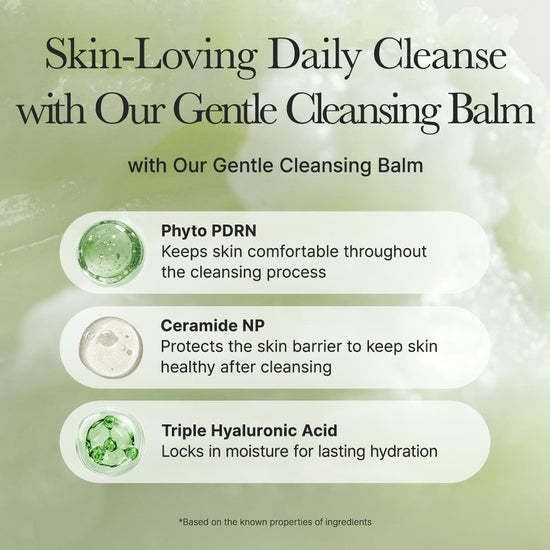 Arencia Pore Melt Phyto PDRN Cleansing Balm 90ml بلسم التنظيف أرينسيا بور ميلت فيتو بي دي آر إن - Princess Cosmetics Qatar
