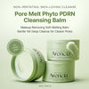 Arencia Pore Melt Phyto PDRN Cleansing Balm 90ml بلسم التنظيف أرينسيا بور ميلت فيتو بي دي آر إن - Princess Cosmetics Qatar