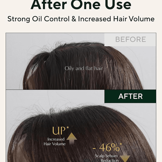 Shombo Powder Aromatica Rosemary Dry Shampoo Powder 10g مسحوق شامبو جاف بنكهة الروزم ...