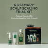 Aromatica Rosemary Scalping Trial Kit (4pcs) مجموعة تجربة فروة الرأس من أروماتيكا روزماري - Princess Cosmetics Qatar