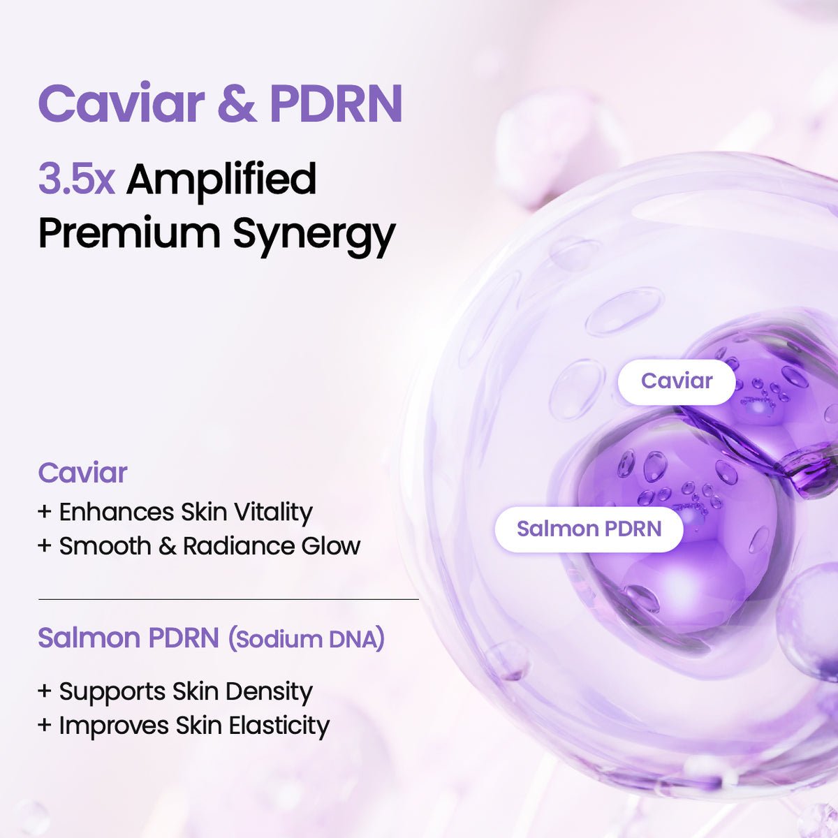 Biodance Caviar PDRN Dual Gel Toner Pads (60 Pads) وسادات تونر ثنائية الجل من بيودانس كافيار PDRN - Princess Cosmetics Qatar