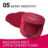 Bourjois Macaron Melt Lip & Cheeks Flush بورجوا ماكارون ميلت – أحمر خدود للشفاه والخدود - Princess Cosmetics Qatar