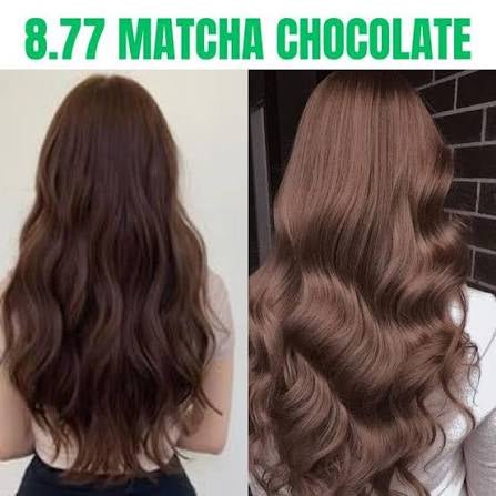 Bremod Hair Color with 9% Oxidizer صبغة شعر بريمود مع مؤكسد بنسبة 9% - Princess Cosmetics Qatar