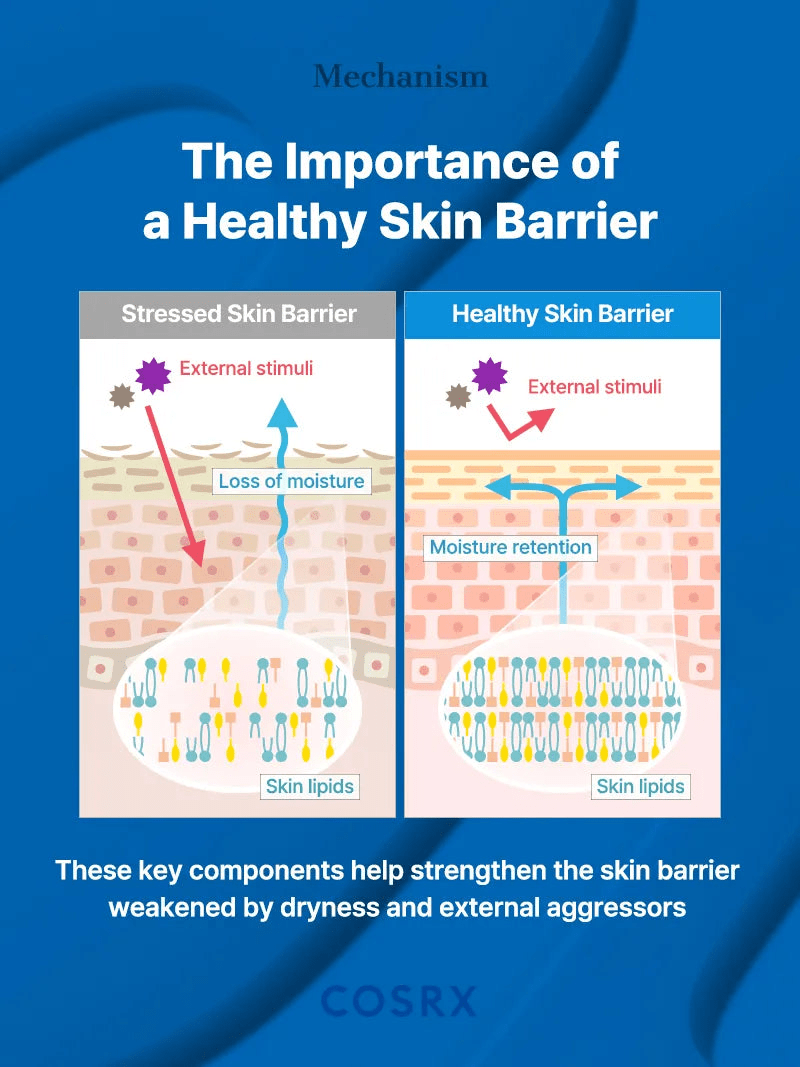 Cosrx Skin Barrier Moisturizing Cream 450ml كريم مرطب للبشرة من كوسركس - Princess Cosmetics Qatar