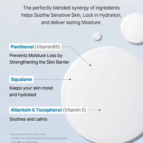 Cosrx The Ceramide Skin Barrier Moisturizing Mist 120ml رذاذ مرطب للبشرة من كوسركس، السيراميد - Princess Cosmetics Qatar