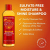 Creme of Nature Argan Oil Sulphate Free Moisture & Shine Shampoo 354ml شامبو كريم أوف ناتشر بزيت الأرغان الخالي من الكبريتات، مرطب ومنعم للشعر - Princess Cosmetics Qatar