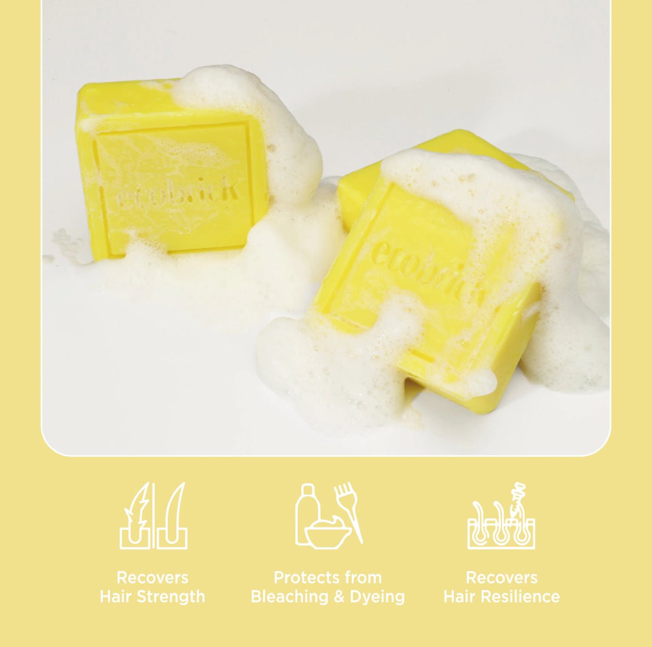 EcoBrick Mild Acidic Shampoo Bar – Damaged Hair Care شامبو إيكوبريك الحامضي الخفيف للعناية بالشعر التالف - Princess Cosmetics Qatar