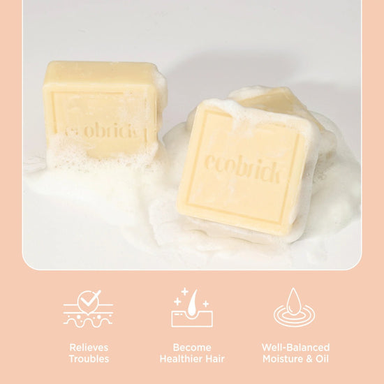 EcoBrick Mild Acidic Shampoo Bar – Scalp Hair Care. شامبو إيكوبريك الحامضي الخفيف للعناية بفروة الرأس والشعر - Princess Cosmetics Qatar