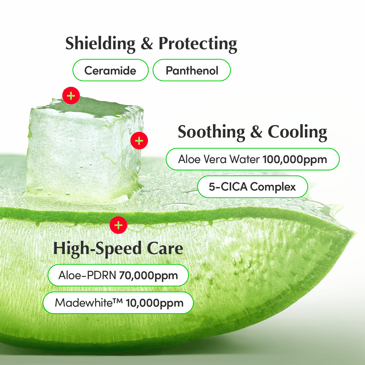 Eqqualberry Aloe PDRN Calming Cream 50ml كريم إيكوالبيري ألو بي دي آر إن المهدئ - Princess Cosmetics Qatar