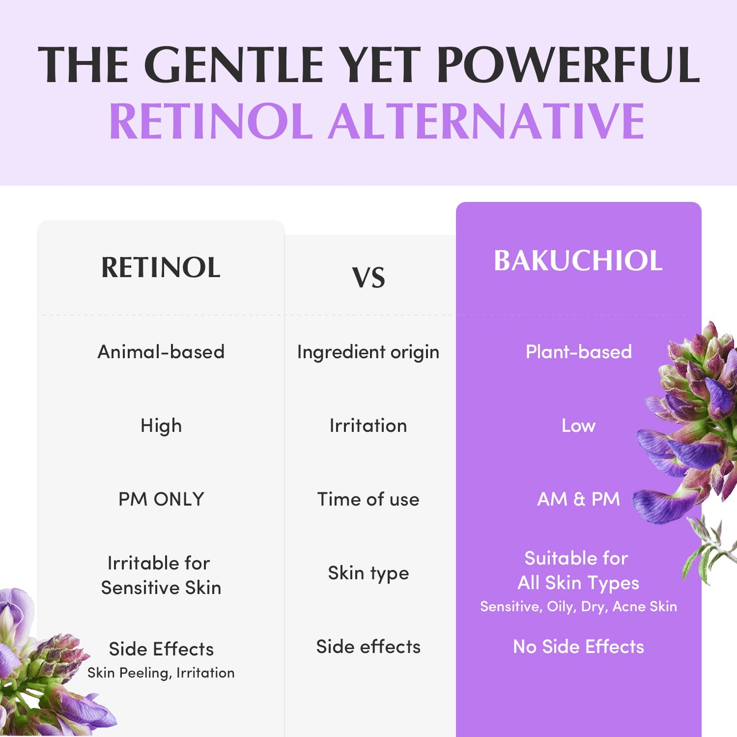 Eqqualberry Bakuchiol Plumping Capsule Cream 50ml كريم كبسولة باكوتشيول الممتلئ من إيكوالبيري - Princess Cosmetics Qatar