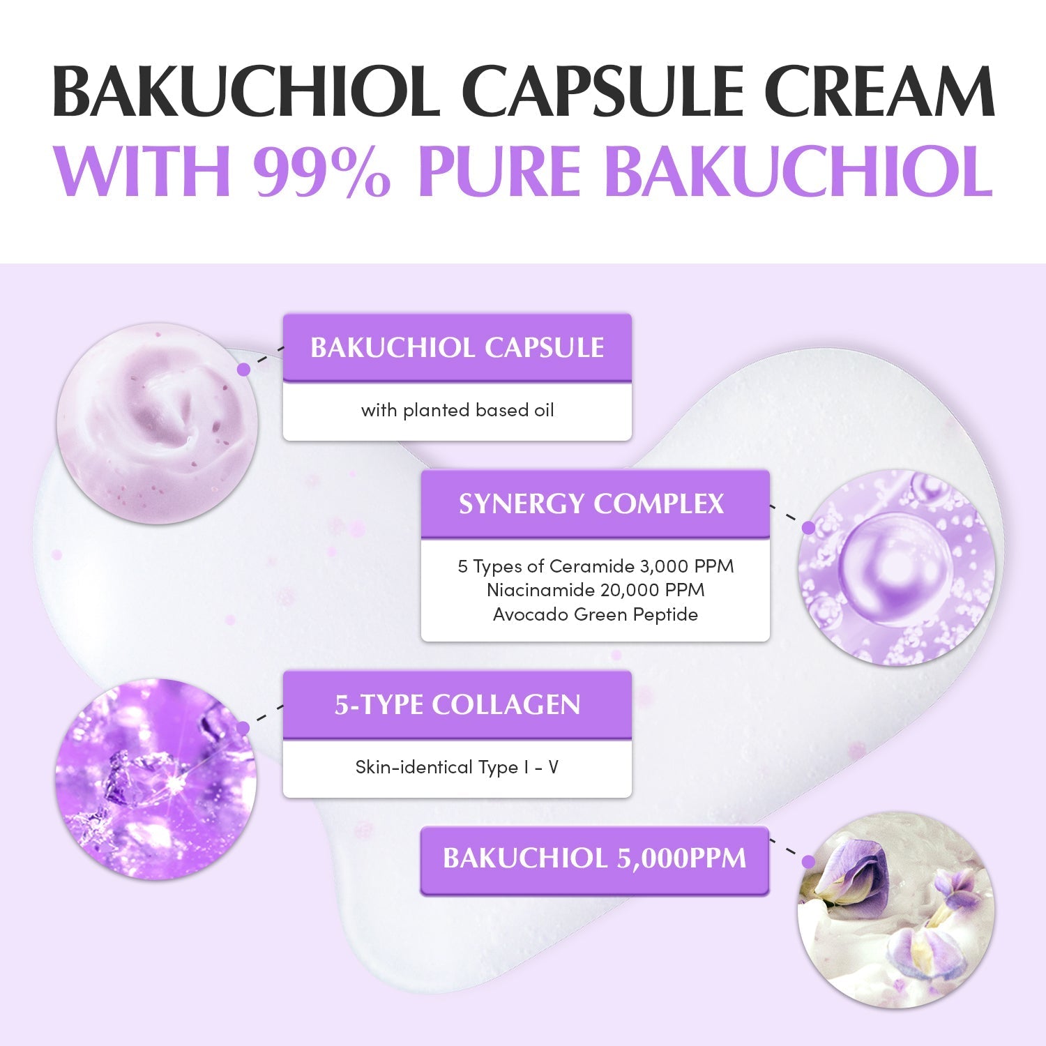 Eqqualberry Bakuchiol Plumping Capsule Cream 50ml كريم كبسولة باكوتشيول الممتلئ من إيكوالبيري - Princess Cosmetics Qatar