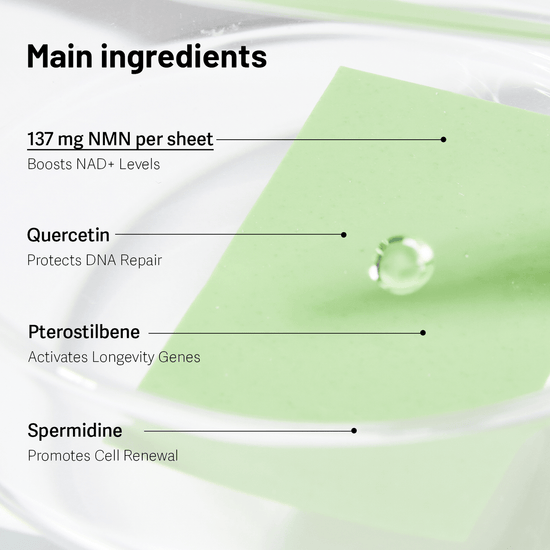 Esther Formula NMN Phytos 5x (30ea) تركيبة إستر NMN Phytos 5x - Princess Cosmetics Qatar