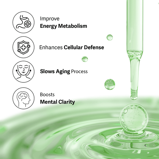 Esther Formula NMN Phytos 5x (30ea) تركيبة إستر NMN Phytos 5x - Princess Cosmetics Qatar