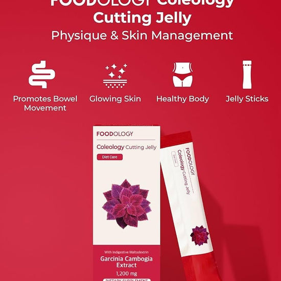 Foodology Caleology Cutting Jelly (10 Sticks) فودولوجي كولولوجي جيلي قطع - Princess Cosmetics Qatar