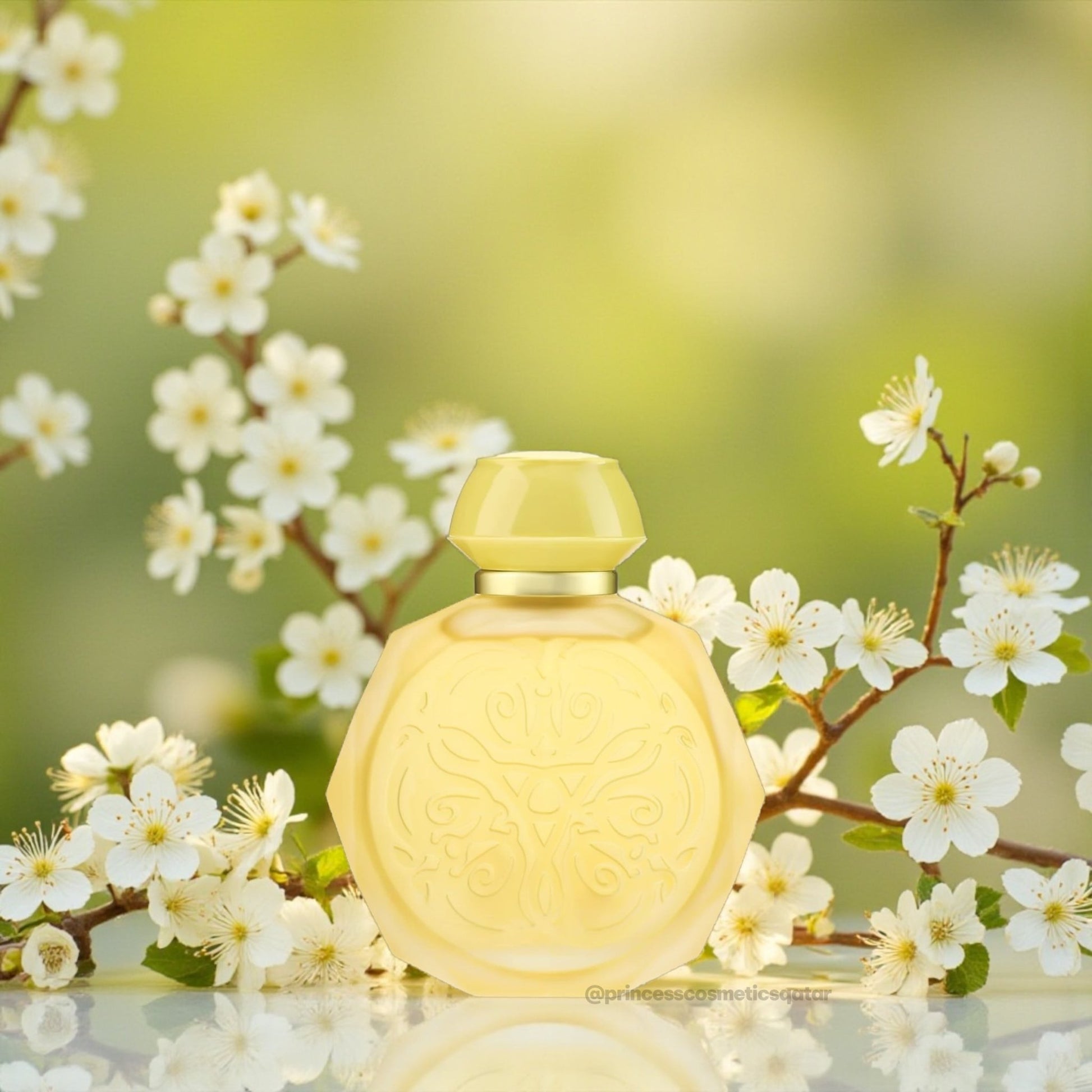 Gissah SOLAR 60ml. جيسا سولار - Princess Cosmetics Qatar