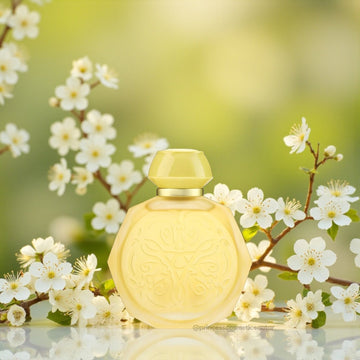 Gissah SOLAR 60ml. جيسا سولار - Princess Cosmetics Qatar