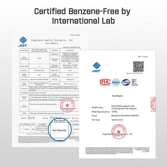 Halovida Instantly Fresh Volumizing Hair Dry Shampoo شامبو هالوفيدا الجاف لتكثيف الشعر وانتعاشه الفوري - Princess Cosmetics Qatar