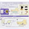 Kinomegumi Natural Beauty Foot Detox Patch - GINGER (30pcs) لصقة كينوميغومي الطبيعية لإزالة السموم من القدمين - الزنجبيل - Princess Cosmetics Qatar