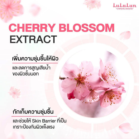 Lululun Premium Face Mask Sakura Spring Edition (7 Sheets) قناع الوجه الفاخر من لولولون، إصدار ساكورا الربيعي - Princess Cosmetics Qatar
