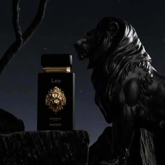 Maison Asrar Leo 100ml ميزون أسرار ليو - Princess Cosmetics Qatar