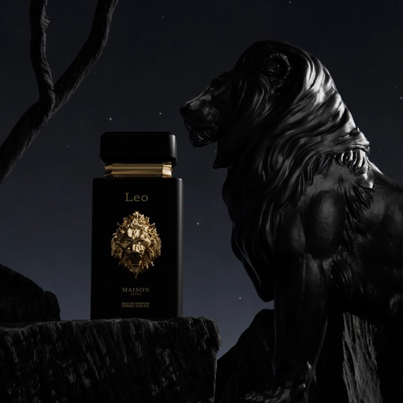 Maison Asrar Leo 100ml ميزون أسرار ليو - Princess Cosmetics Qatar