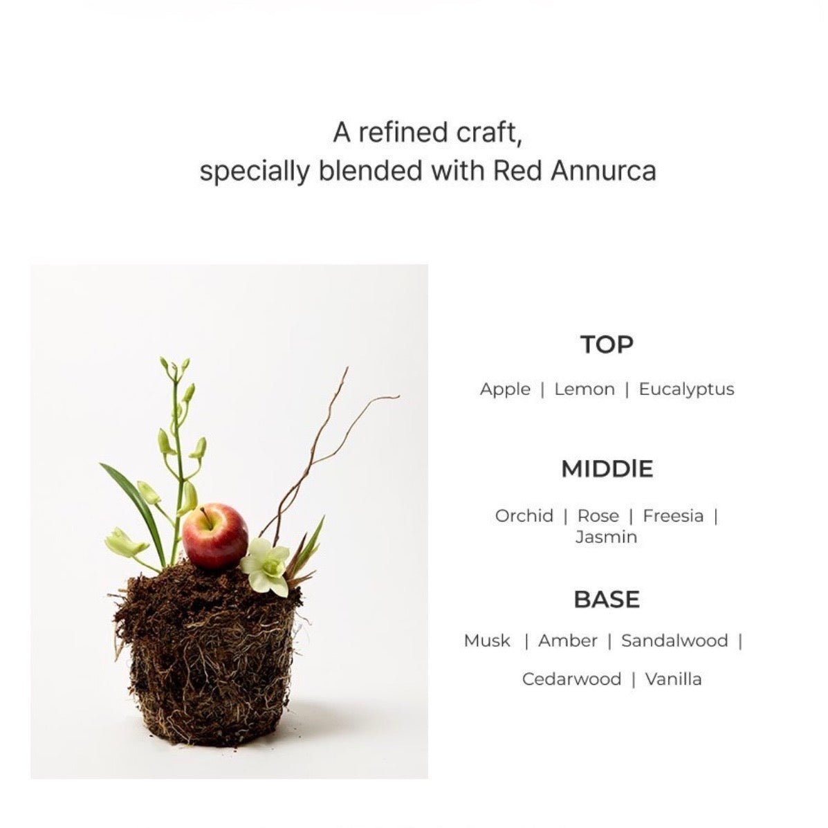 MOEV Annurcatin Hair Perfume 30ml عطر الشعر مويف أنوركاتين - Princess Cosmetics Qatar