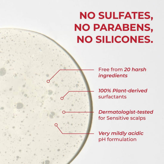 Moev Annurcatin Shampoo 300ml شامبو مويف أنوركاتين - Princess Cosmetics Qatar