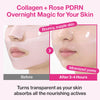 Numbuzin No.2 Rose PDRN Collagen Plumping Sheet Mask (1 Sheet) قناع ورقي مرطب ومغذي بالكولاجين من نومبوزين رقم 2 روز بي دي آر إن - Princess Cosmetics Qatar