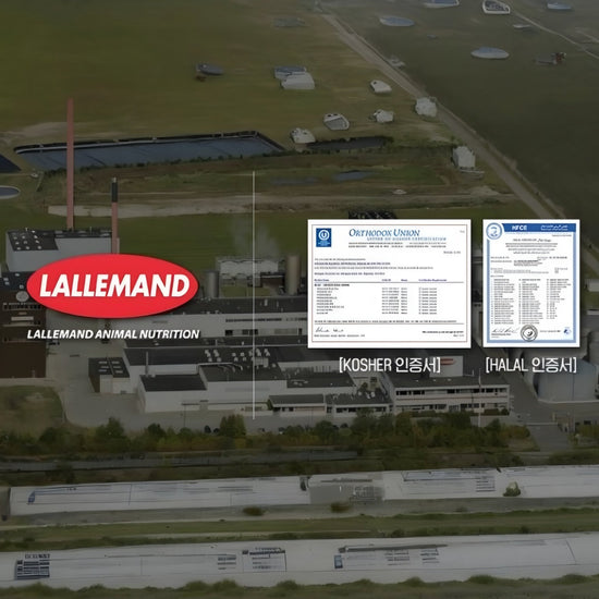 Nutrione BB LAB Glutathione Collagen W (2g x 30 Sticks) نيوتريون بي بي لاب جلوتاثيون كولاجين دبليو - Princess Cosmetics Qatar