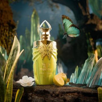 Paris Corner Jardin des Papillons 100ml ركن باريس جاردان دي بابيون - Princess Cosmetics Qatar