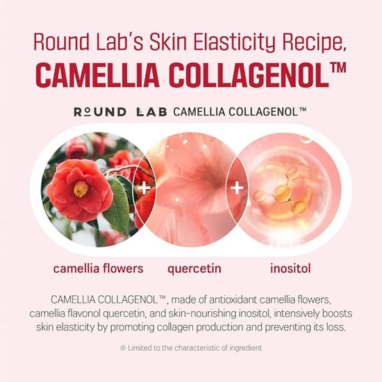 Round Lab Camellia Deep Collagen Firming Ampoule 30ml أمبولات راوند لاب كاميليا ديب كولاجين لشد البشرة - Princess Cosmetics Qatar