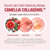 Round Lab Camellia Deep Collagen Firming Ampoule 30ml أمبولات راوند لاب كاميليا ديب كولاجين لشد البشرة - Princess Cosmetics Qatar