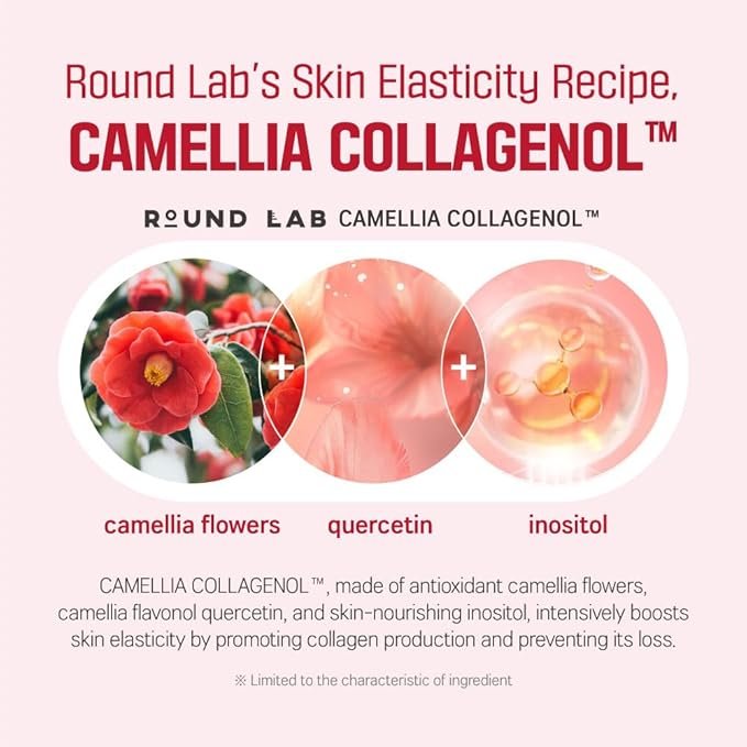 Round Lab Camellia Deep Collagen Firming Ampoule 30ml أمبولات راوند لاب كاميليا ديب كولاجين لشد البشرة - Princess Cosmetics Qatar