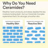 Skinfix Ceramide Prime Whipped Cream 50ml كريم سكينفيكس سيراميد برايم المخفوق - Princess Cosmetics Qatar