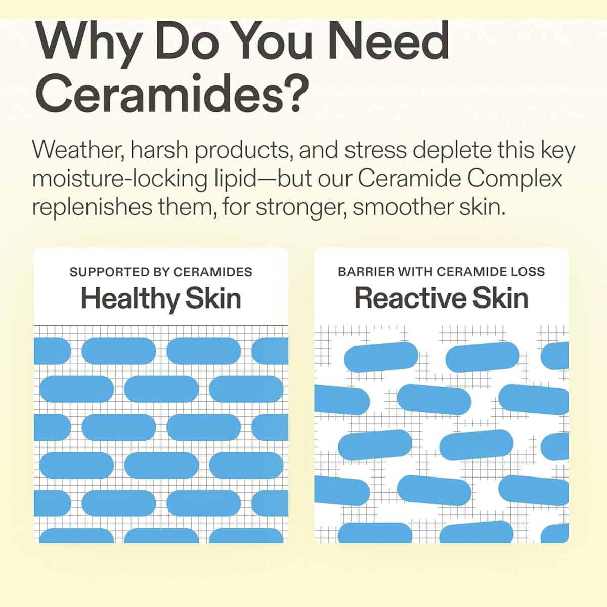 Skinfix Ceramide Prime Whipped Cream 50ml كريم سكينفيكس سيراميد برايم المخفوق - Princess Cosmetics Qatar