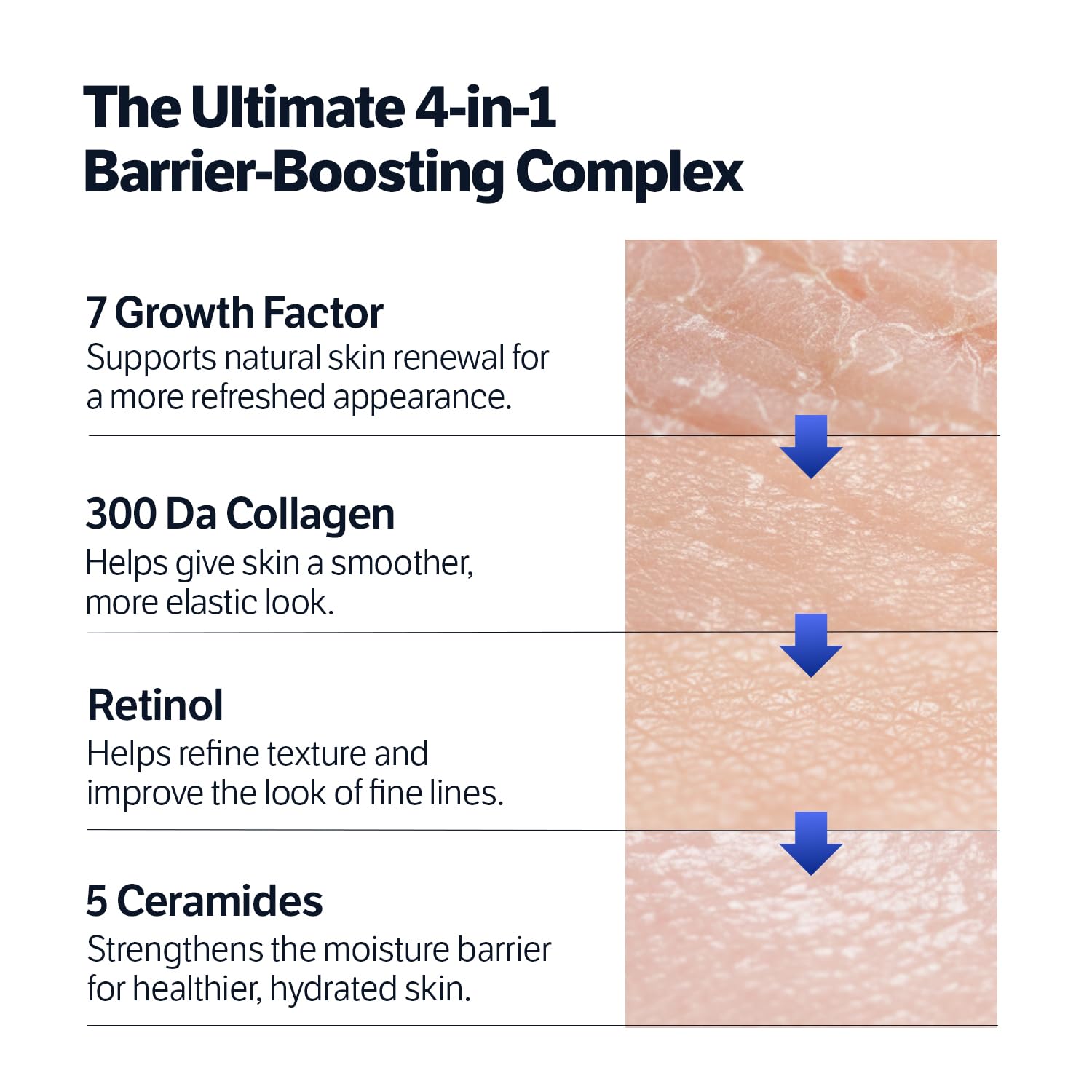 Sungboon Editor Deep Collagen 7GF Ceramide Advanced Barrier Night Cream 50ml كريم سونغبون إديتور الليلي المتطور لحماية حاجز البشرة، غني بالكولاجين 7GF والسيراميد. - Princess Cosmetics Qatar