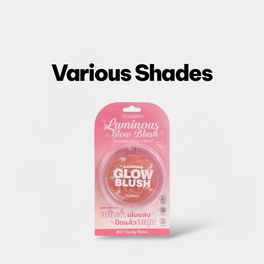 Teammy Luminous Glow Blush أحمر خدود متوهج من تيمي - Princess Cosmetics Qatar
