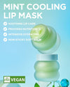 Tocobo Mint Cooling Lip Mask 20ml توكوبو قناع الشفاه بالنعناع المبرد - Princess Cosmetics Qatar