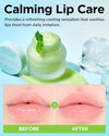 Tocobo Mint Cooling Lip Mask 20ml توكوبو قناع الشفاه بالنعناع المبرد - Princess Cosmetics Qatar